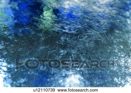 benthos, animal, ocean, sea, plankton View Large Photo Image Stock Photo - benthos, animal, ocean, sea, plankton. Fotosearch