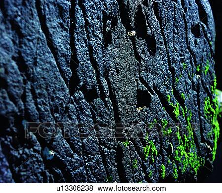 crag, line, cliff, rocky, petrifaction, rock, weathering View Large Photo Image Stock Photo - crag, line, cliff, rocky, petrifaction, rock, weathering. Fotosearch