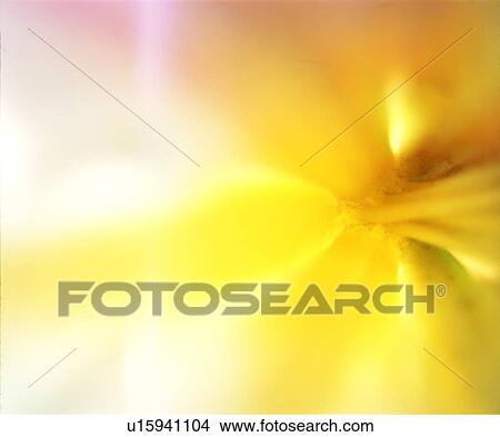 dream, yellow, soft, dazzling, glaring, dim, dusky View Large Photo Image Picture - dream, yellow, soft, dazzling, glaring, dim, dusky. Fotosearch