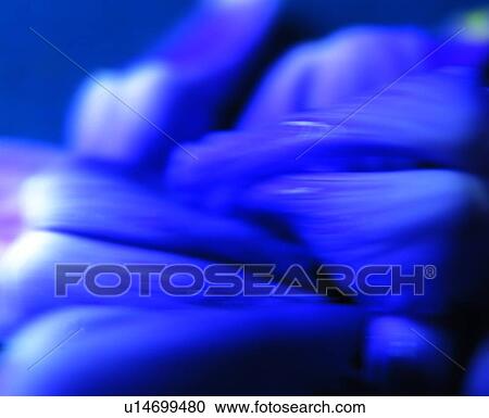 dusky, hazy, stack, pile, object, gather, misty View Large Photo Image Stock Image - dusky, hazy, stack, pile, object, gather, misty. Fotosearch