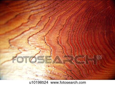 Picture - layer, weathering, cliff, rock, stratum, petrifaction, crag. Fotosearch