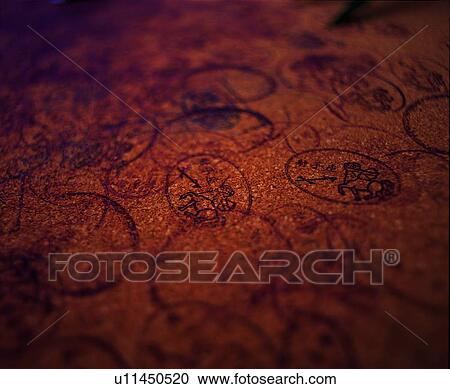 plankton, benthos, animal, ocean, sea View Large Photo Image Stock Image - plankton, benthos, animal, ocean, sea. Fotosearch