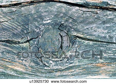 rock, rocky, cliff, crag, line, vein, petrifaction View Large Photo Image Stock Image - rock, rocky, cliff, crag, line, vein, petrifaction. Fotosearch