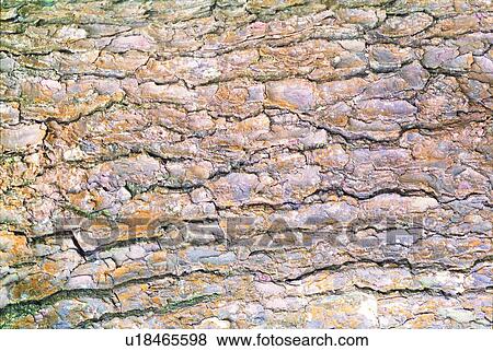 rock, rocky, cliff, crag, line, vein, petrifaction View Large Photo Image Stock Photo - rock, rocky, cliff, crag, line, vein, petrifaction. Fotosearch