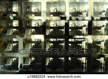 Picture - room, view, corner, scenery, black and white film. Fotosearch