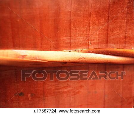 timber, branch, trunk, bone View Large Photo Image Picture - timber, branch, trunk, bone. Fotosearch