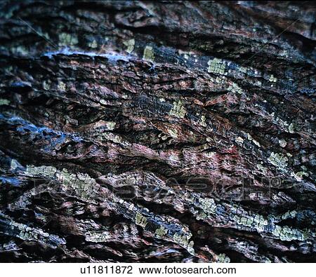 weathering, petrifaction, cliff, rocky, line, rock, widthways View Large Photo Image Stock Image - weathering, petrifaction, cliff, rocky, line, rock, widthways. Fotosearch
