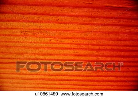 Stock Photo - wooden, quality, height class, bookstore, coffee shop, plank, floor. Fotosearch