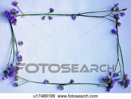 Stock Photo - background, frame, leaf, green, nature, border. Fotosearch