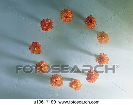 Stock Photo - background, plant, frame, border, flower, orange. Fotosearch