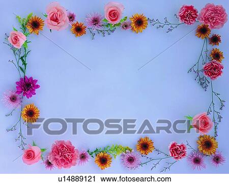 background, sun flower, square, border, frame, rose, leaf View Large Photo Image Stock Image - background, sun flower, square, border, frame, rose, leaf. Fotosearch