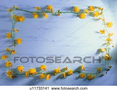 Stock Image - background, yellow, leaf, frame, nature, plant. Fotosearch