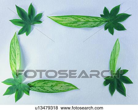 Stock Photo - border, frame, background, green, nature, leaf, square. Fotosearch