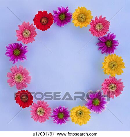 flower, background, border, frame, natrure, yellow View Large Photo Image Stock Photo - flower, background, border, frame, natrure, yellow. Fotosearch