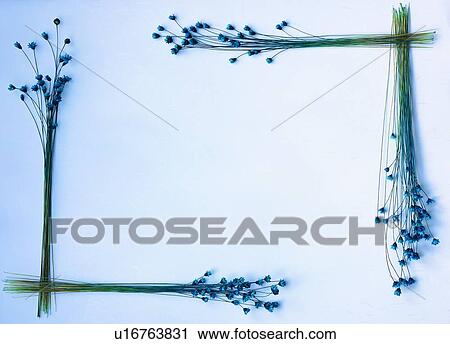 Stock Image - flower, square, oblong, background, nature, frame, border. Fotosearch