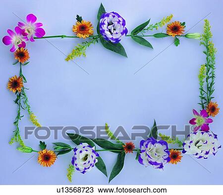 Stock Image - frame, background, yellow, leaf, sun flower, square. Fotosearch