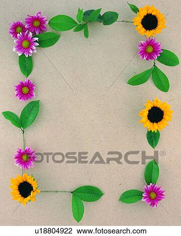 green, yellow, background, flower, plant, leaf, square View Large Photo Image Stock Image - green, yellow, background, flower, plant, leaf, square. Fotosearch