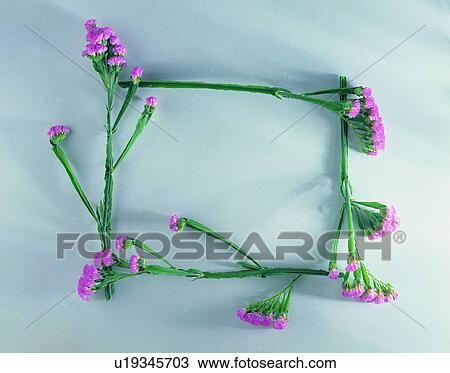 Stock Image - leaf, border, purple, square, frame, oblong, nature. Fotosearch