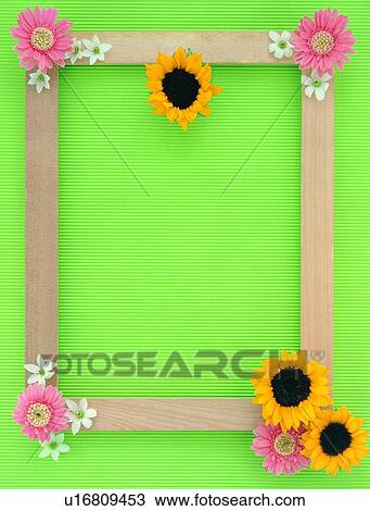 leaf, border, yellow, plant, sun flower, frame, pink View Large Photo Image Stock Image - leaf, border, yellow, plant, sun flower, frame, pink. Fotosearch