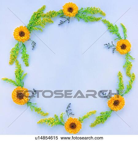 Stock Photography - leaf, circle, background, sun flower, plant, yellow, nature. Fotosearch