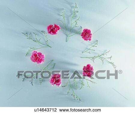 Stock Image - nature, circle, red, white, leaf, flower. Fotosearch