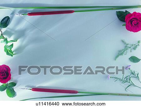 Stock Image - oblong, green, plant, purple, background, leaf, flower. Fotosearch