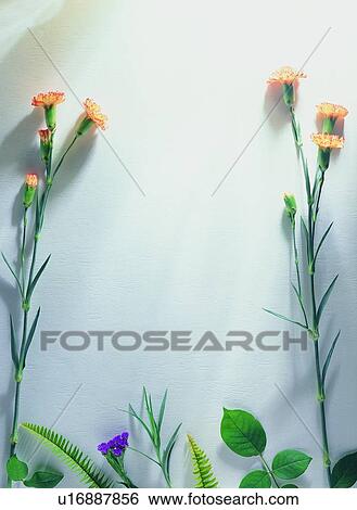 orange, plant, flower, green, frame, leaf View Large Photo Image Stock Photograph - orange, plant, flower, green, frame, leaf. Fotosearch