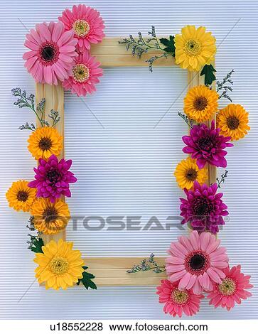 pink, sun flower, flower, nature, red, square, leaf View Large Photo Image Stock Photo - pink, sun flower, flower, nature, red, square, leaf. Fotosearch