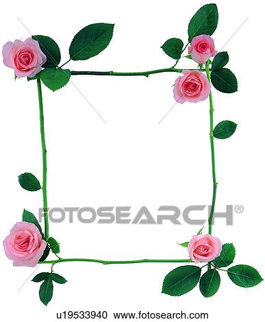 plant, border, nature, frame, background, square View Large Photo Image Stock Image - plant, border, nature, frame, background, square. Fotosearch