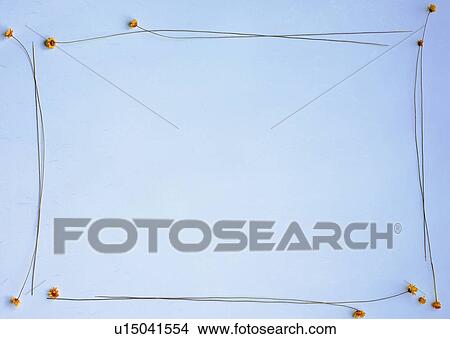 plant, flower, nature, leaf, background, yellow View Large Photo Image Picture - plant, flower, nature, leaf, background, yellow. Fotosearch