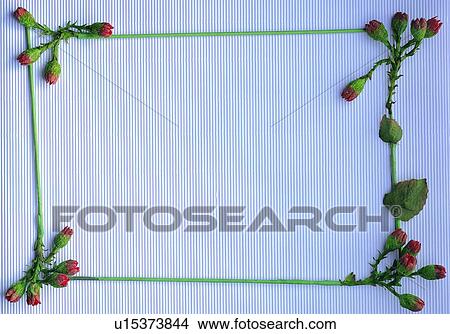 Picture - plant, flower, nature, leaf, background, green. Fotosearch