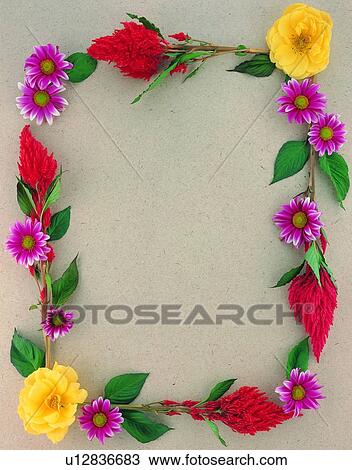 Stock Image - plant, flower, nature, leaf, background, yellow. Fotosearch