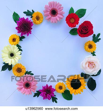 plant, flower, nature, leaf, background, pink View Large Photo Image Stock Image - plant, flower, nature, leaf, background, pink. Fotosearch