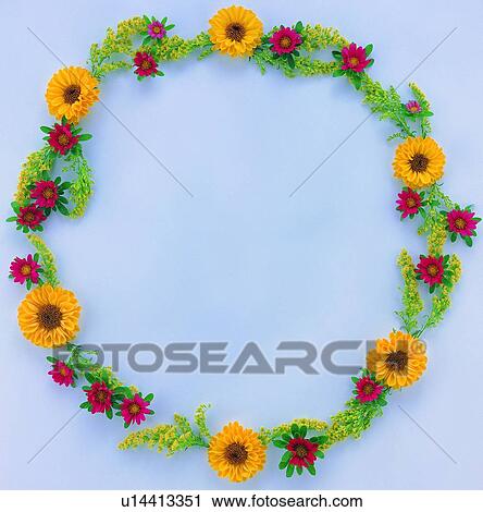 Stock Image - plant, flower, nature, leaf, background, yellow. Fotosearch