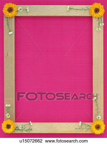 plant, flower, nature, leaf, background, yellow View Large Photo Image Stock Image - plant, flower, nature, leaf, background, yellow. Fotosearch
