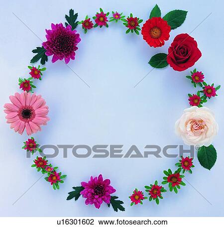plant, flower, nature, leaf, background, red View Large Photo Image Stock Image - plant, flower, nature, leaf, background, red. Fotosearch