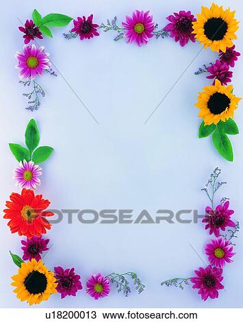 plant, flower, nature, leaf, background, yellow View Large Photo Image Stock Image - plant, flower, nature, leaf, background, yellow. Fotosearch