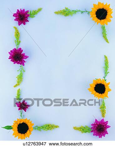 Stock Photo - plant, flower, nature, leaf, background, yellow. Fotosearch