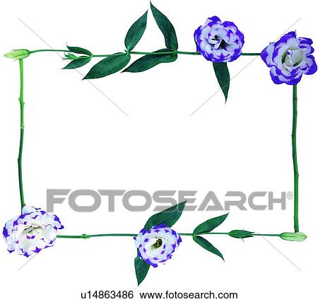 plant, flower, nature, leaf, background, purple View Large Photo Image Stock Photograph - plant, flower, nature, leaf, background, purple. Fotosearch