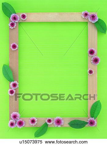 Stock Photography - plant, flower, nature, leaf, background, pink. Fotosearch