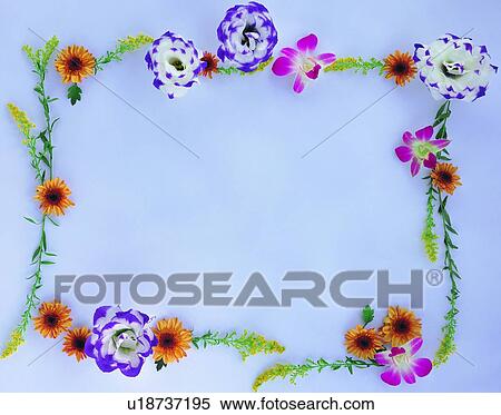plant, flower, nature, leaf, background, sun flower View Large Photo Image Stock Photography - plant, flower, nature, leaf, background, sun flower. Fotosearch