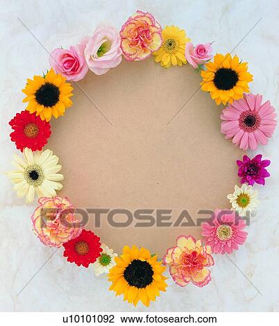 plant, frame, nature, yellow, leaf, border, circle View Large Photo Image Stock Image - plant, frame, nature, yellow, leaf, border, circle. Fotosearch