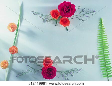 plant, nature, flower, leaf, background, orange View Large Photo Image Stock Image - plant, nature, flower, leaf, background, orange. Fotosearch