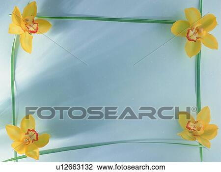 Stock Image - plant, nature, flower, leaf, background, yellow. Fotosearch