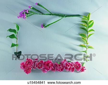 plant, nature, flower, leaf, background, green View Large Photo Image Stock Image - plant, nature, flower, leaf, background, green. Fotosearch
