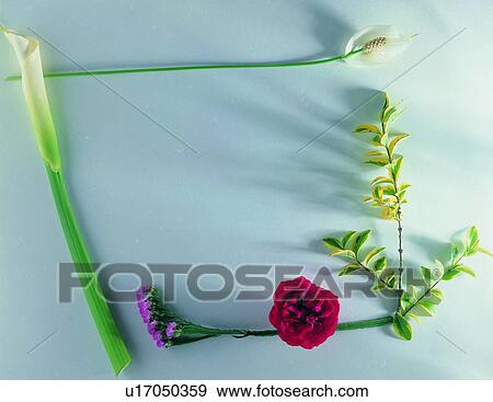 plant, nature, flower, leaf, background, green View Large Photo Image Stock Photo - plant, nature, flower, leaf, background, green. Fotosearch