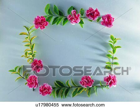 plant, nature, flower, leaf, background, red View Large Photo Image Stock Photography - plant, nature, flower, leaf, background, red. Fotosearch