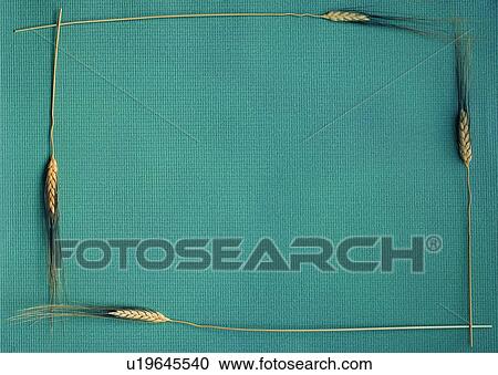 Stock Image - plant, nature, leaf, background, corn, border. Fotosearch