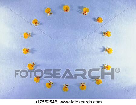 Stock Photograph - plant, yellow, frame, border, nature, circle, background. Fotosearch