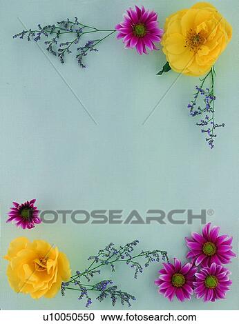 purple, flower, leaf, plant, nature, green View Large Photo Image Stock Image - purple, flower, leaf, plant, nature, green. Fotosearch